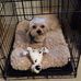 Jackie Dilts - Facebook