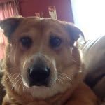 Jake Trouble Dilts - @stupidjake123 - Instagram