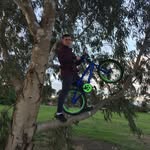Jackdinglebmx - @jackdinglebmx - Instagram