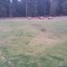 Jack Dinges - Facebook