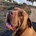 Jack Donges - Facebook