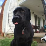 Jack Peach - @dingusjackpeach - Instagram