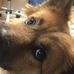 Jack Dinkins - Facebook