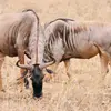 dionisiojack948 - @dionisiojack948 - TikTok