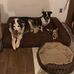 Jack Dishman - Facebook
