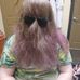 Jack Distefano - Facebook