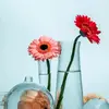 jack_Divine - @jack_divine20 - TikTok