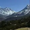 Jack Dix - @jack.dix7 - TikTok