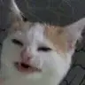 Jackdix26 - @jackdix26 - TikTok