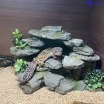 Jake Buddy Dixey - @jbd.677 - Instagram