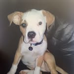 Jack Dobbins - @jack_dobbins34 - Instagram