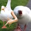 jackdobbins_123 - @jackdobbins_123 - TikTok