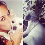Jack ♡ Dobby ♡ Nala - @vdvbetty - Instagram
