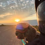Jack Dobson - @biker_dog_jack - Instagram