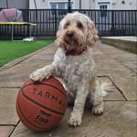 Jack Docherty - @jacko.doco - Instagram