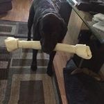 Jack Doering - @doeringjack - Instagram
