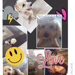 Dolcejack - @jackdolce - Instagram