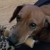 Jack Van Dorf - Facebook