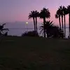 jack dorman - @jack.dorman77 - TikTok