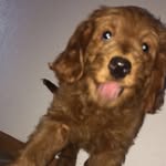 Jack Dover - @jack.dover75644 - Instagram