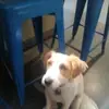 jack.dryden.00 - @jack.0981 - TikTok