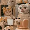 🐈JACK🐈 - @jack..duarte - TikTok