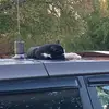 jackdumas691 - @jackdumas691 - TikTok