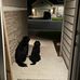 Jack &amp; Dunkin - Facebook