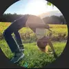 ✨💖Plz notice me jack✨🧋🍩 - @jackgarton_dunkin23 - TikTok