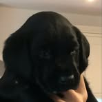 Jack Dunlop - Facebook