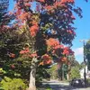 Jack Dunnigan - @jack.dunnigan - TikTok