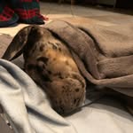 Jack du Toit - @adventures_of_jack_the_great - Instagram