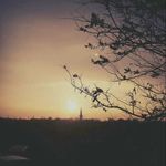 Jack Lee Dwight - @thejackleedwight - Instagram