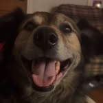 Jack Dye - @sus_beans - Instagram