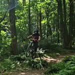 Jack Dyer - @jack_dyer_13 - Instagram