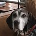 Jack Dykes - Facebook