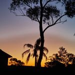 Jack Eades - @jackeades08 - Instagram