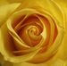 Jack Eads - Facebook