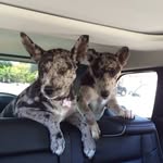 Jack Earley - @earley1s - Instagram