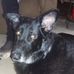 Jack Earley - Facebook
