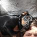 Jack Earnest - Facebook