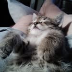 Jack Earnest Brightning - @jackbackjack123 - Instagram