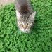 Jack Easley - Facebook