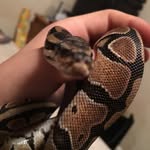 jack easley - @easleyjack - Instagram