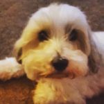 Jack Eason - @jackdavideason - Instagram
