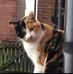 Jack Eason - Facebook