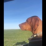 Jack Kevin Eason - @jackkeveason - Instagram