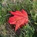 Jack Wilson East soccer field - Facebook