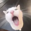 Jack Eberle - @jack.eberle - TikTok