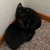 jack.eby22 - @jack.eby22 - TikTok